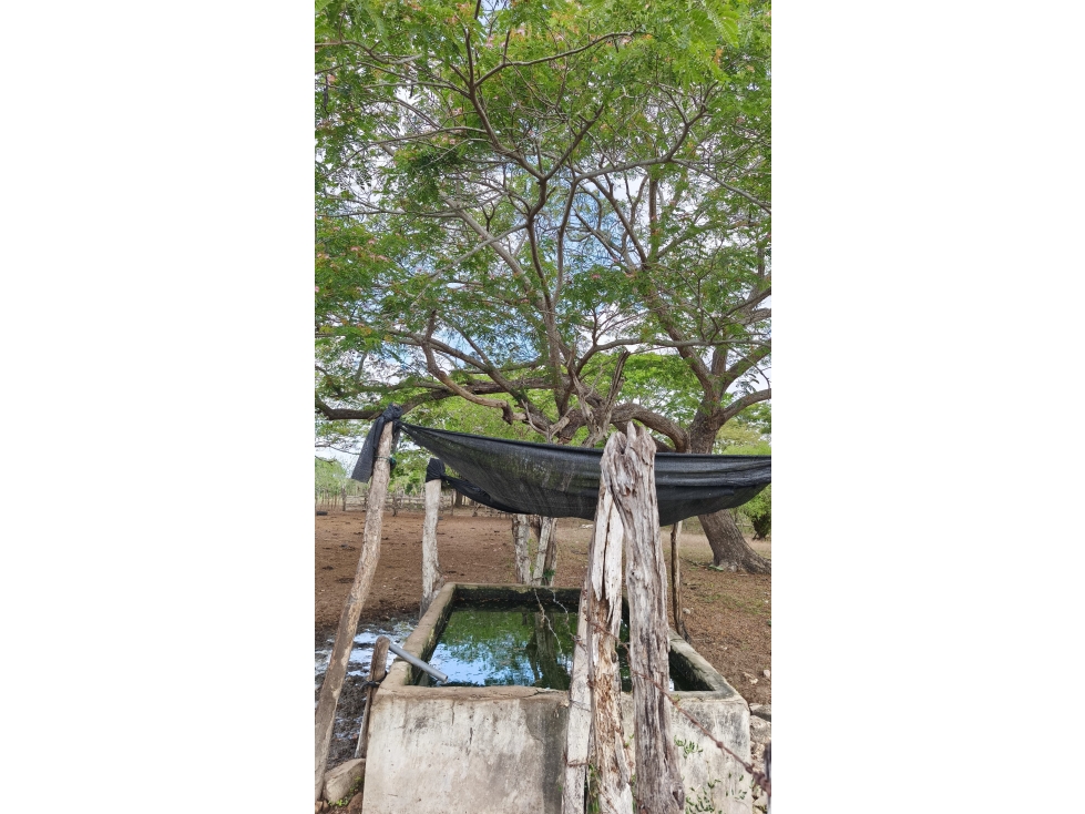 VENTA DE FINCA EN GALERAS SUCRE - 2