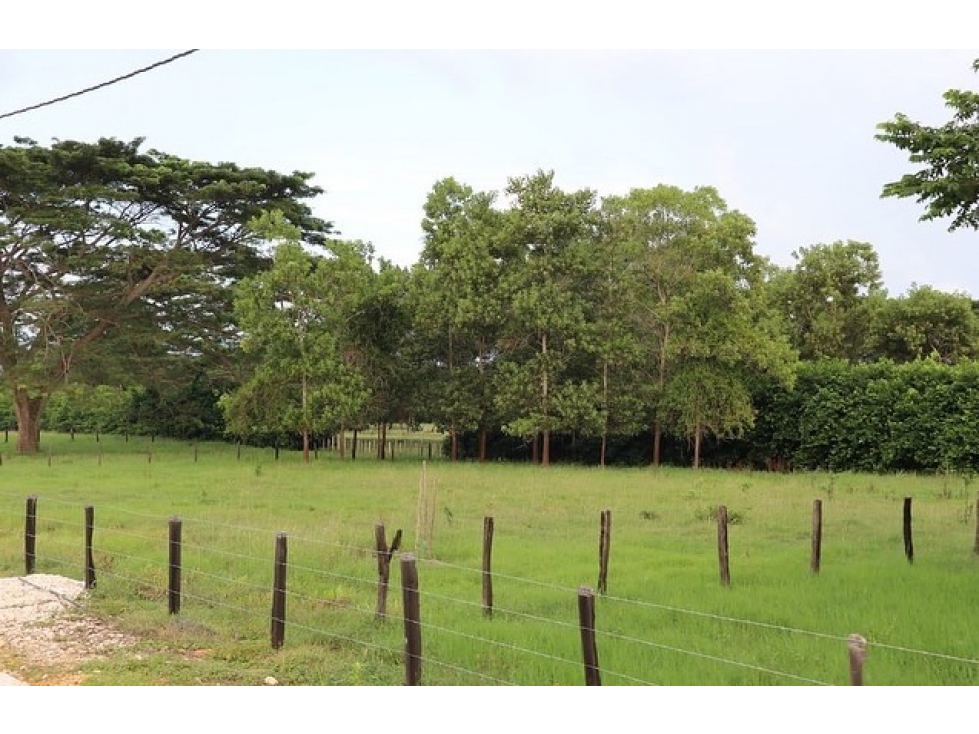 VENTA DE LOTES CAMPESTRES EN TOLU CERCA AL MAR - 3