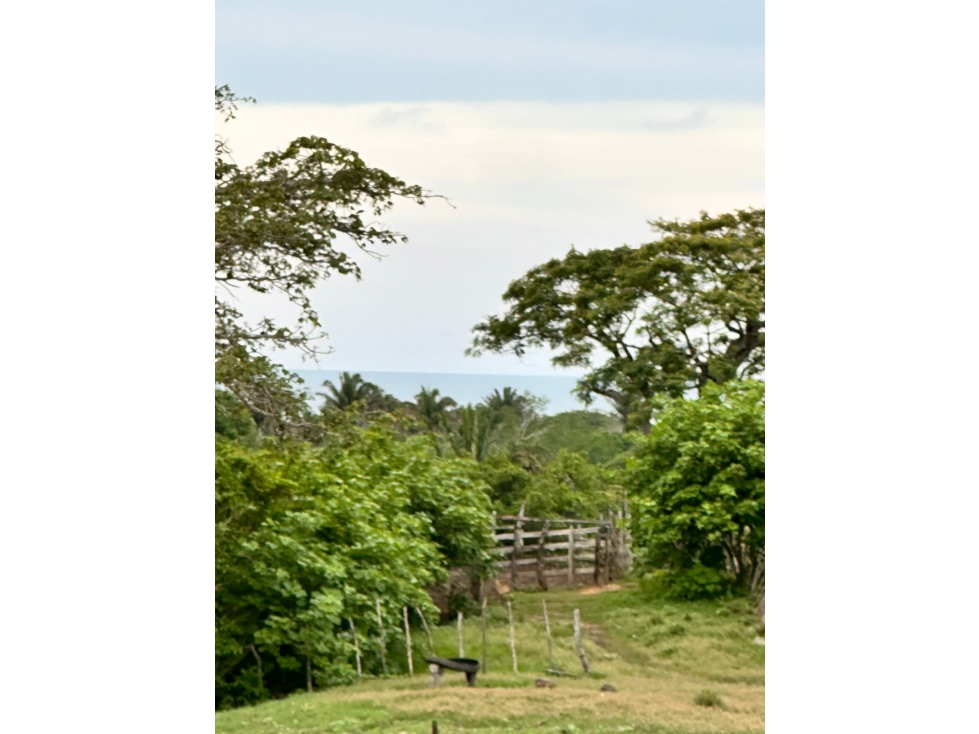 VENTA DE AMPLIOS LOTES EN SAN BERNARDO DEL VIENTO - 3