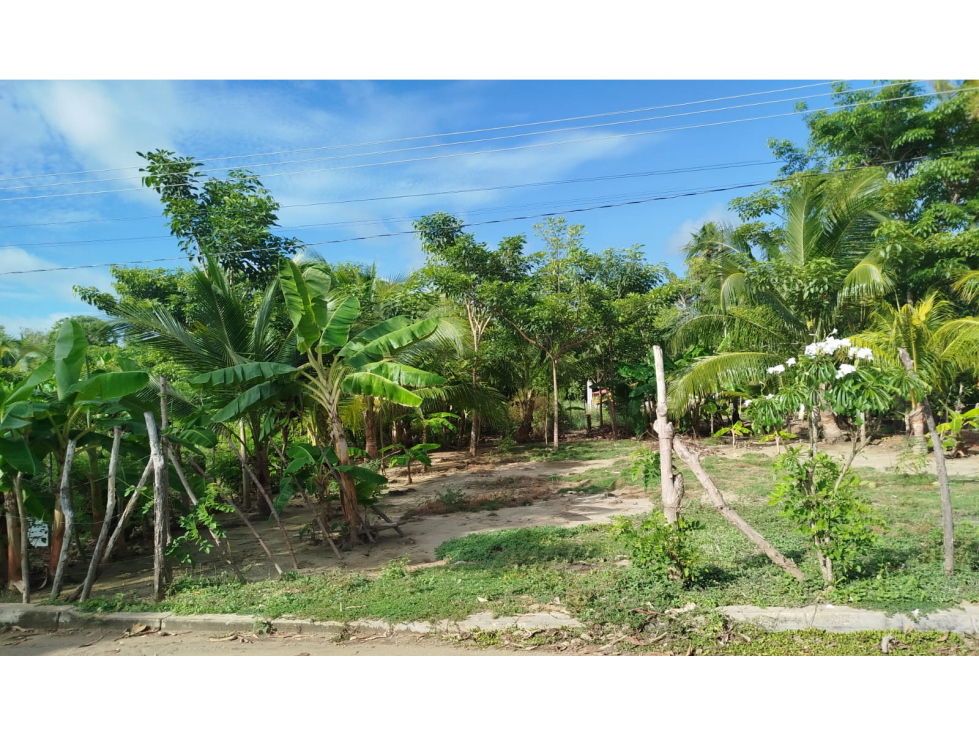 Venta de Lote cerca al Mar en san Bernardo del Viento - 3