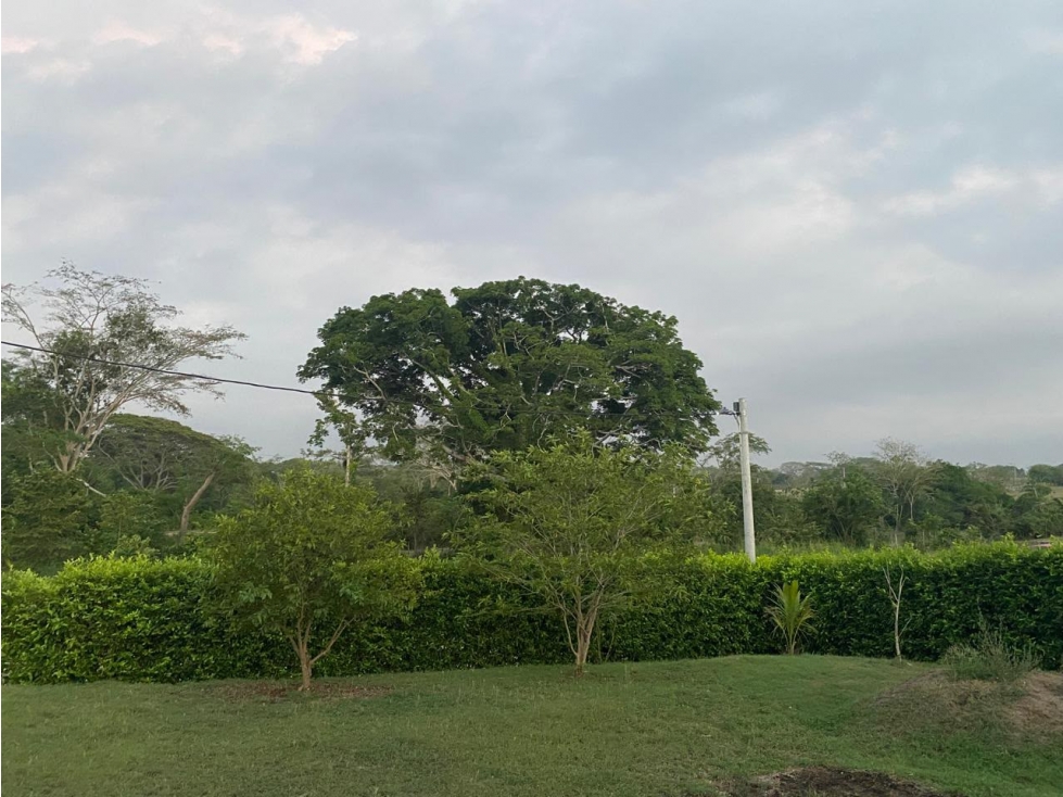 VENTA DE AMPLIO LOTE CAMPESTRE EN COROZAL - 3