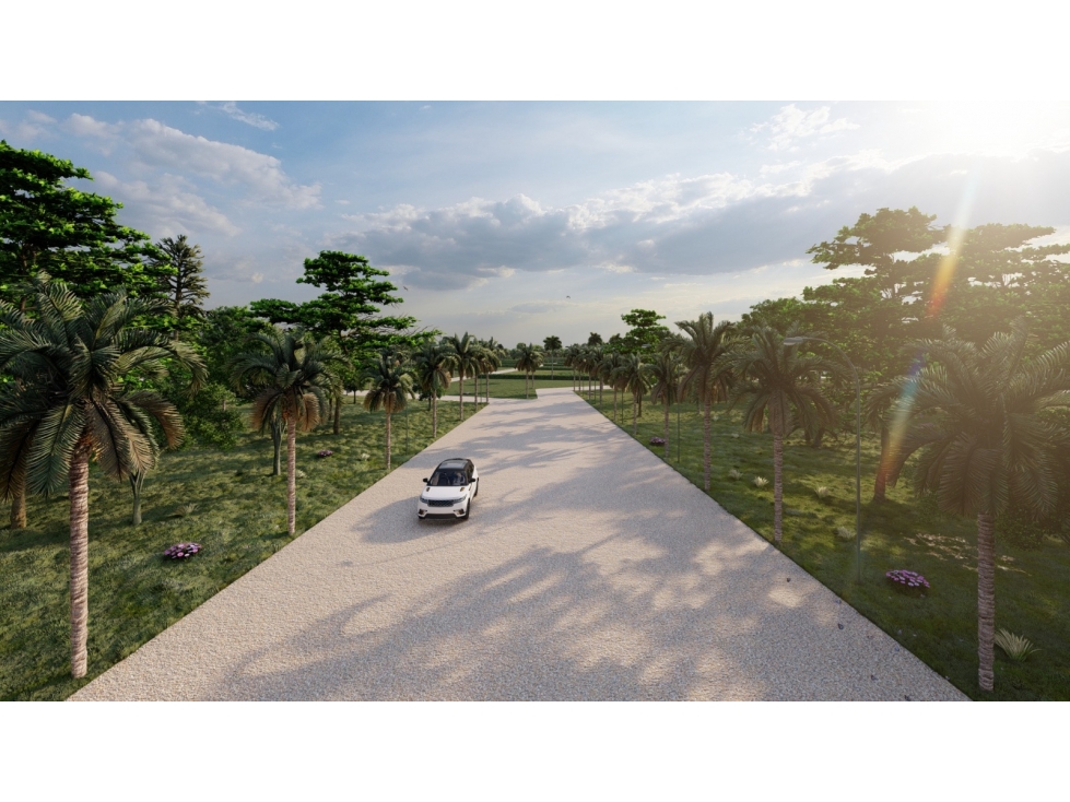VENTA DE LOTES CAMPESTRES EN SAN ANTERO PUNTA BOLIVAR - 3