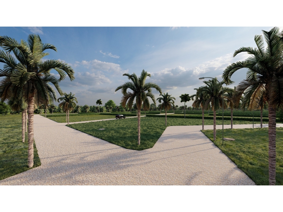 VENTA DE LOTES CAMPESTRES EN SAN ANTERO PUNTA BOLIVAR - 4