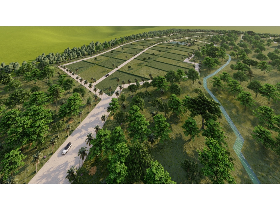 VENTA DE LOTES CAMPESTRES EN SAN ANTERO PUNTA BOLIVAR - 6