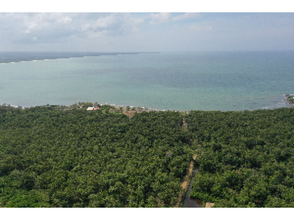VENTA DE LOTE EN MOÑITOS FRENTE AL MAR - 3