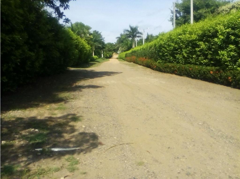 VENTA DE LOTE CAMPESTRE EN SAMPUES SUCRE - 4