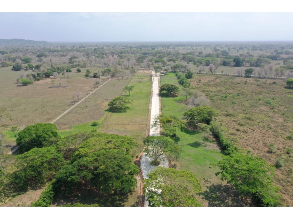 VENTA DE LOTES CAMPESTRES EN TOLU CERCA AL MAR - 4