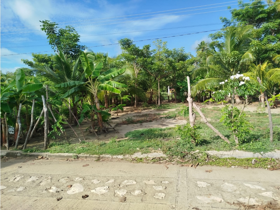 Venta de Lote cerca al Mar en san Bernardo del Viento - 1