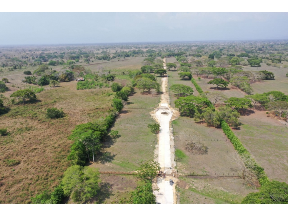 VENTA DE LOTES CAMPESTRES EN TOLU CERCA AL MAR - 5