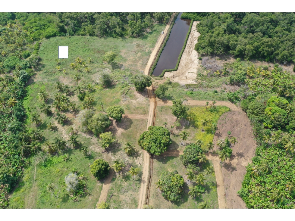 VENTA DE LOTE EN MOÑITOS FRENTE AL MAR - 5