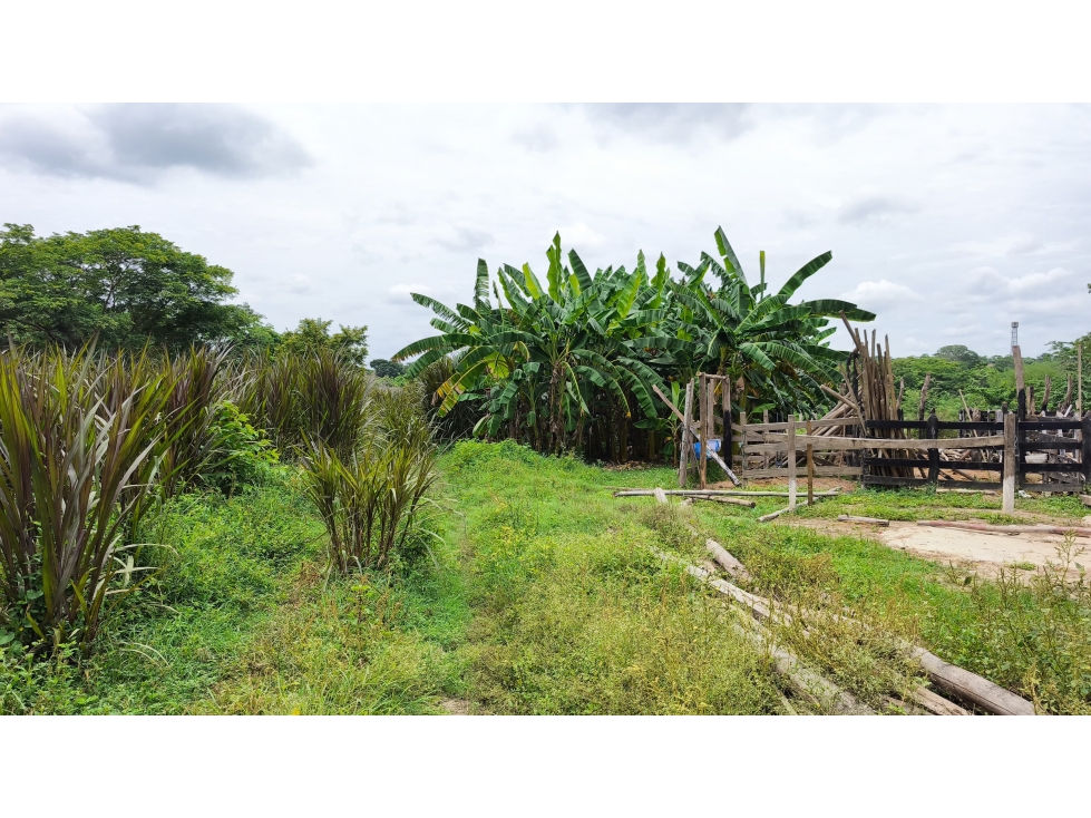 VENTA DE FINCA EN SAMPUES SUCRE - 6