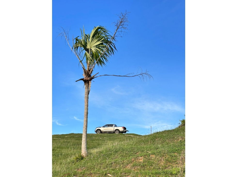 VENTA DE AMPLIOS LOTES EN SAN BERNARDO DEL VIENTO - 5