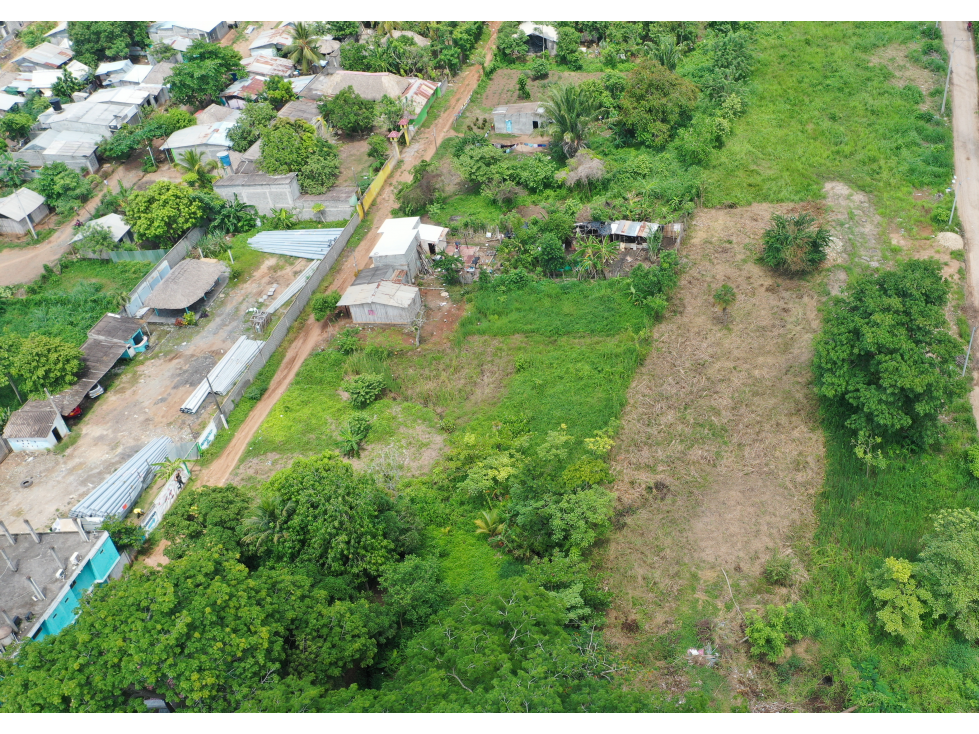 VENTA DE LOTE EN LORICA SOBRE LA TRONCAL - 2