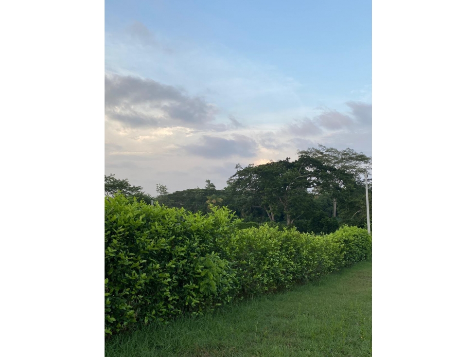 VENTA DE AMPLIO LOTE CAMPESTRE EN COROZAL - 5
