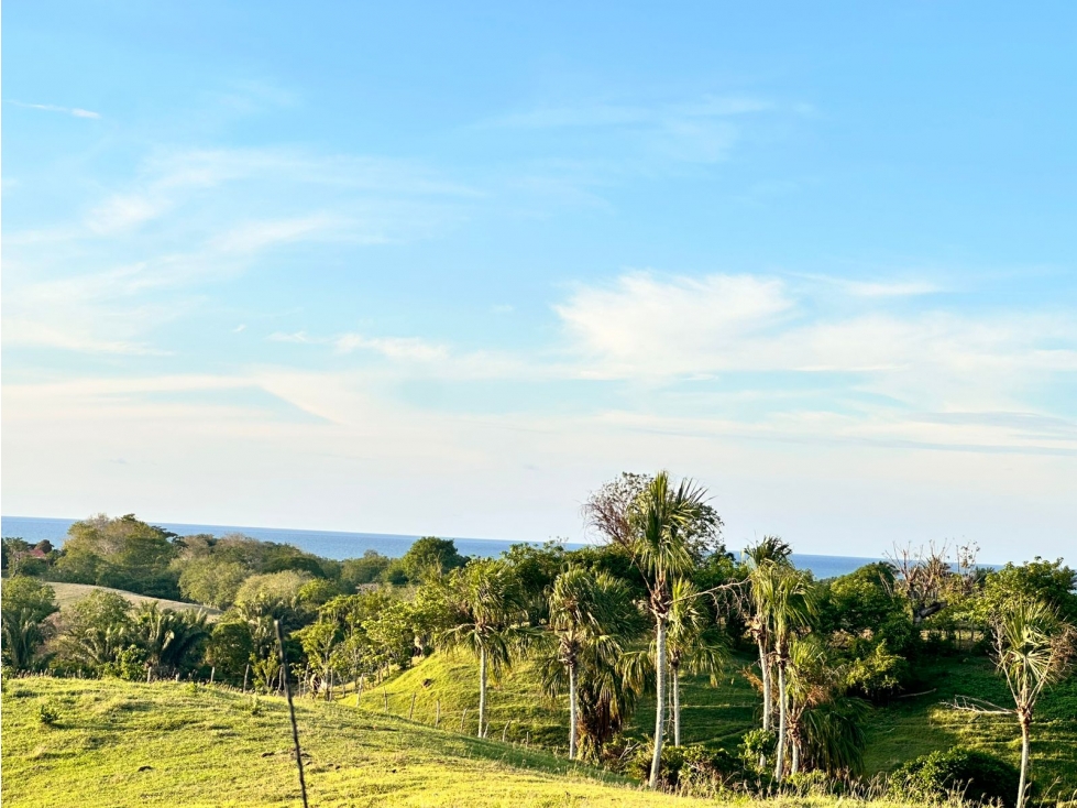 VENTA DE AMPLIOS LOTES EN SAN BERNARDO DEL VIENTO - 6