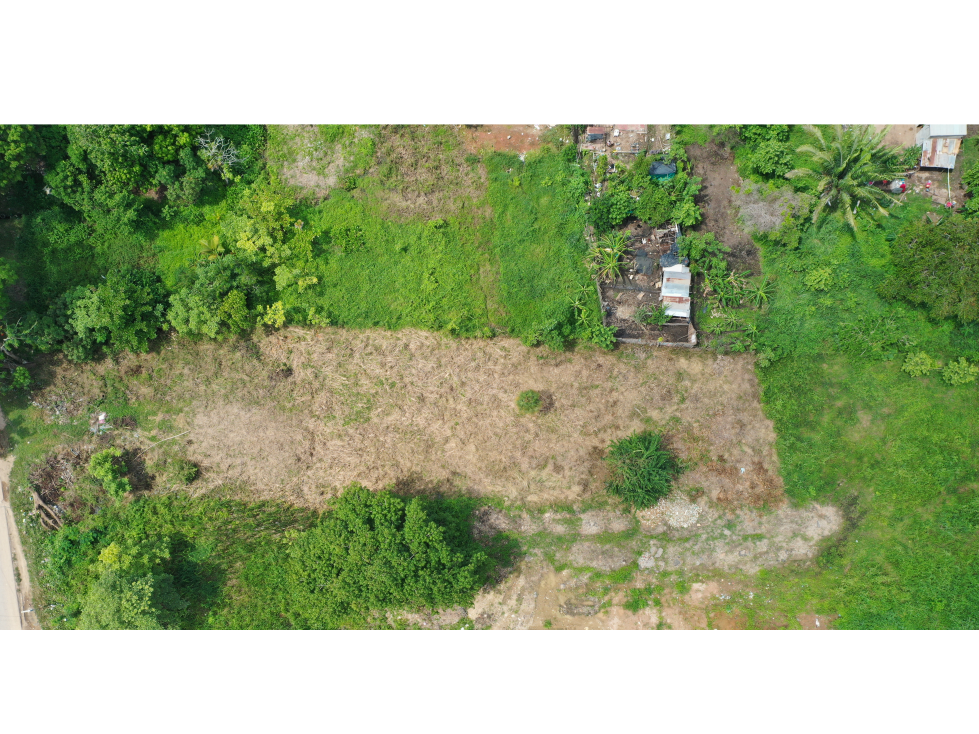 VENTA DE LOTE EN LORICA SOBRE LA TRONCAL - 3