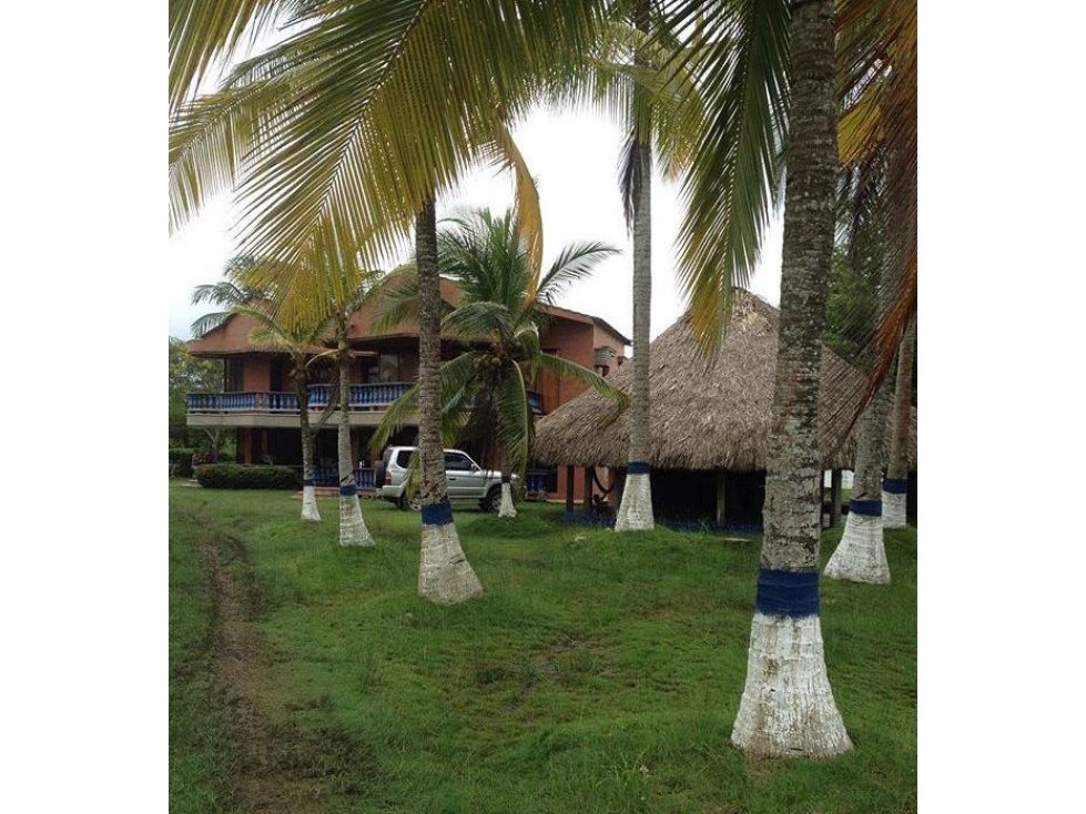 CABAÑAS FRENTE A LA PLAYA EN PUERTO VIEJO — foto 4