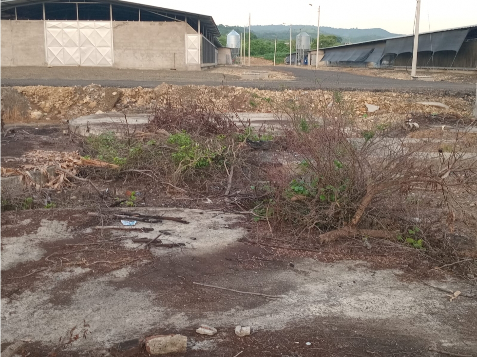 Manabi, Venta de Terreno urbano con edificación de tipo galpón - 2
