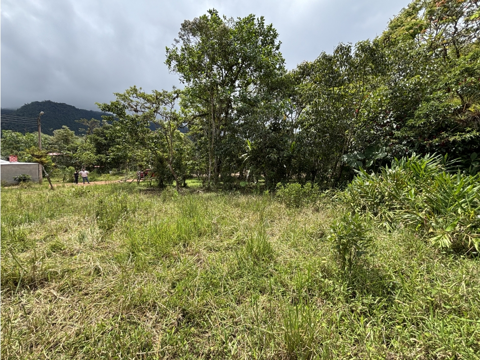 Terreno esquinero en venta en Mindo - 4