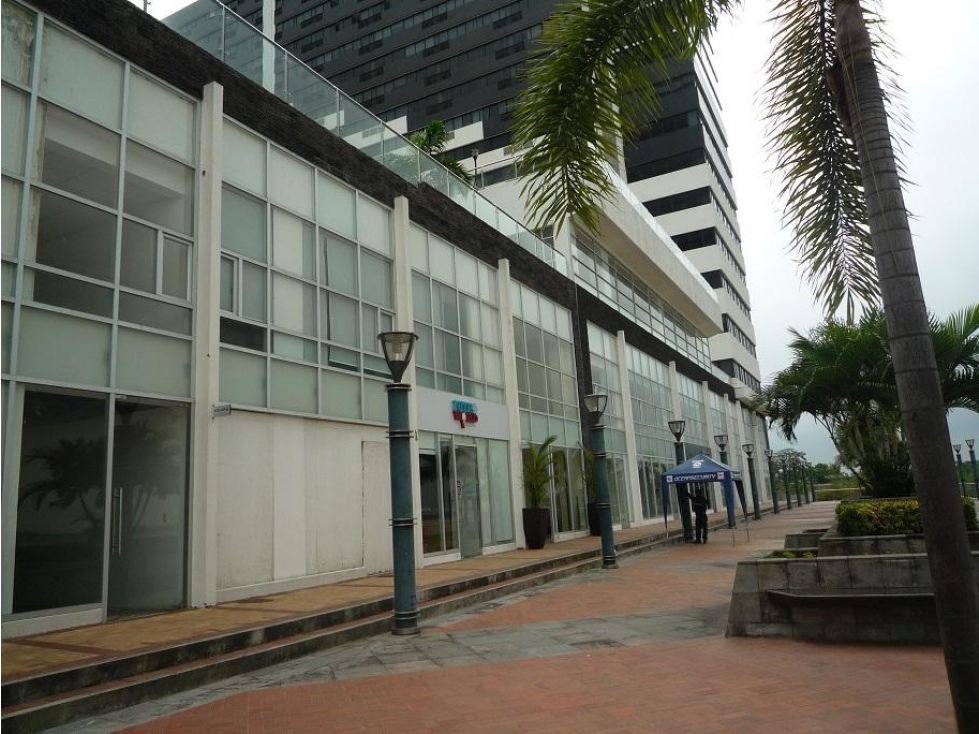 Alquiler o Venta de Oficina en Edificio Bellini con vista al Rio