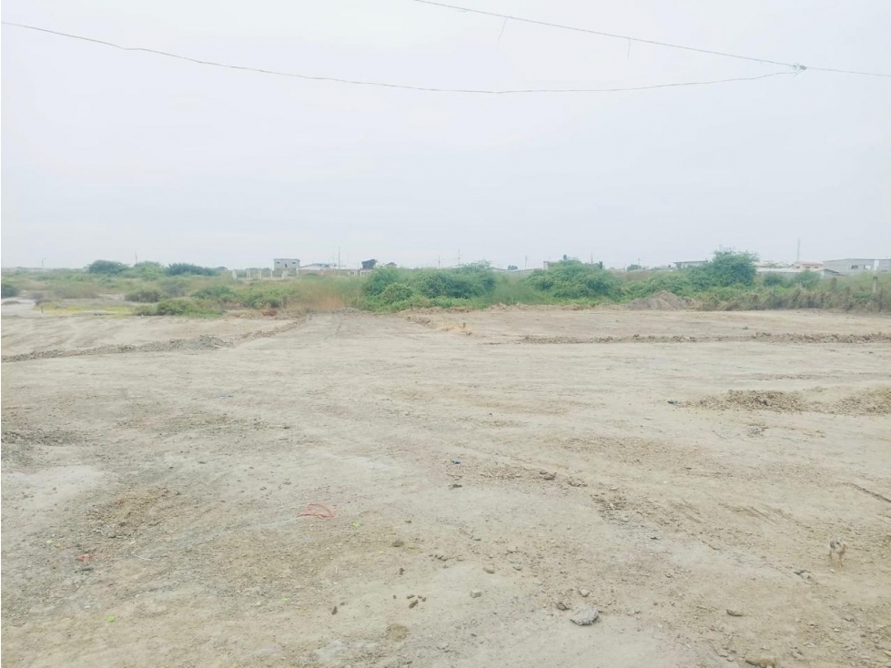 Casas en venta, proyecto urbanístico Playas Villamil - 6