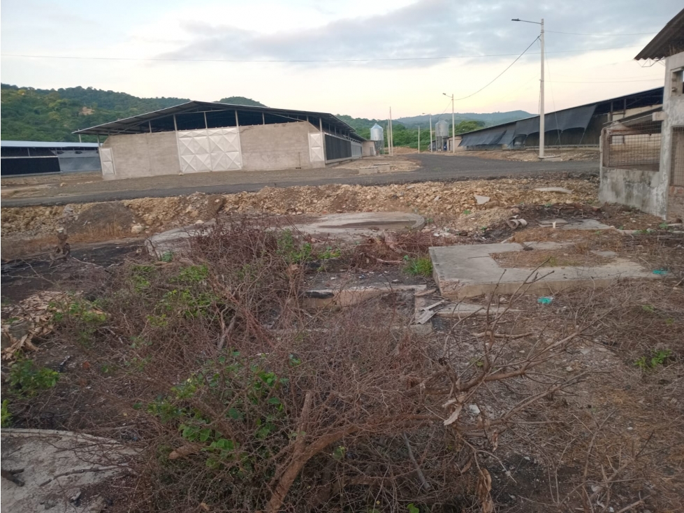 Manabi, Venta de Terreno urbano con edificación de tipo galpón - 5