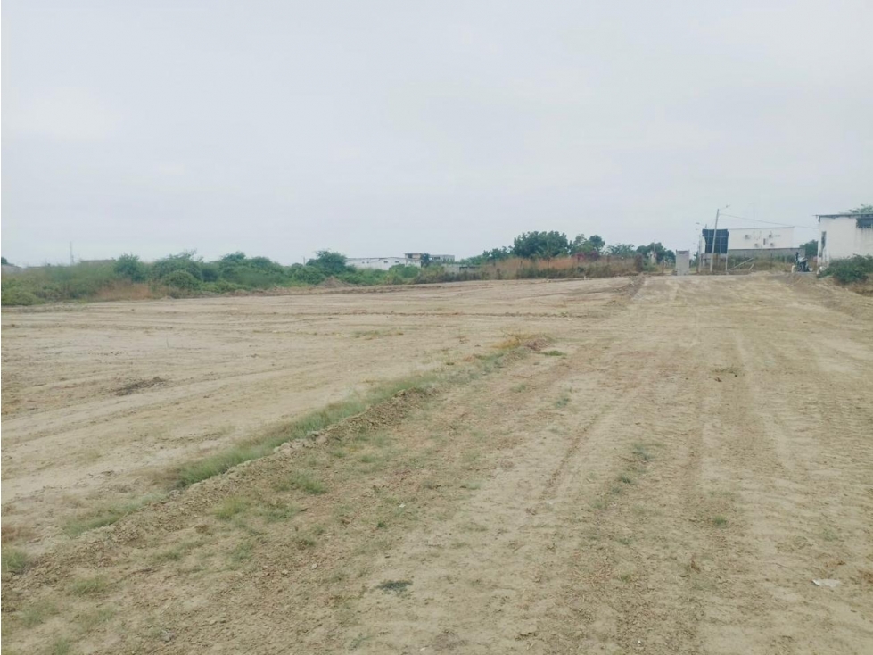 Terrenos en venta, proyecto urbanístico Playas Villamil - 6