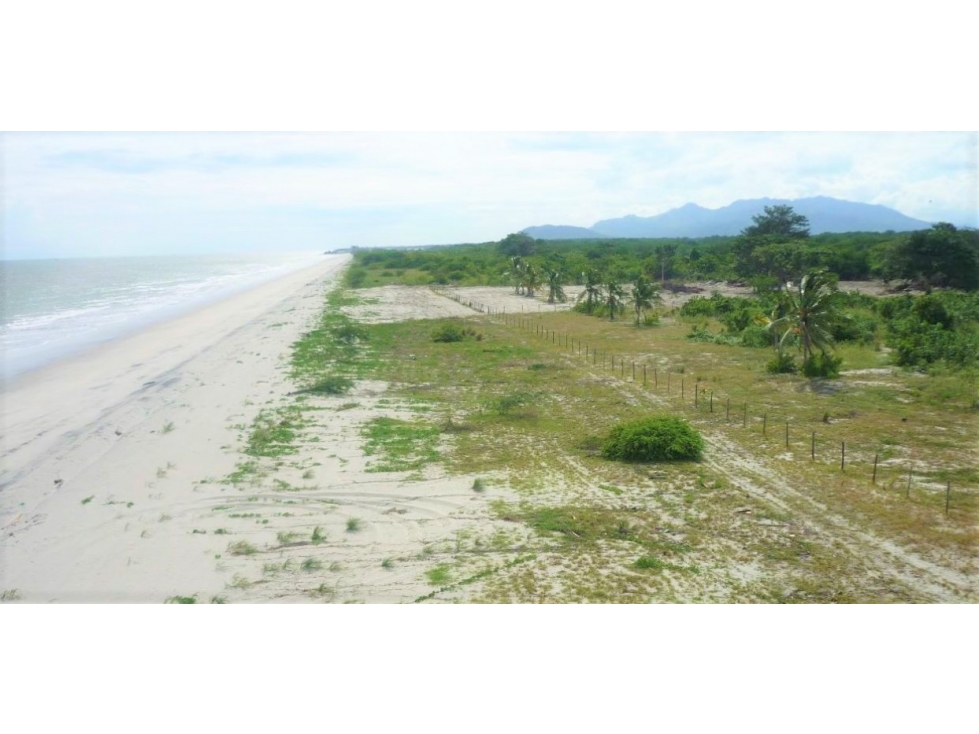 Venta de Terreno en Punta Chame (ID 13019) - 3