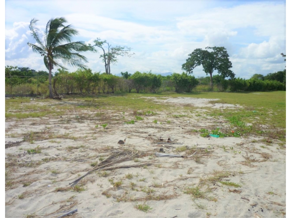 Venta de Terreno en Punta Chame (ID 13019) - 4