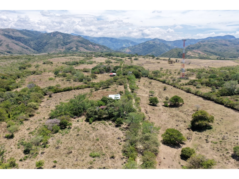 FINCA AGROPECUARIA EN VENTA EN VENADILLO, TOLIMA | 30 HECTÁREAS - 1
