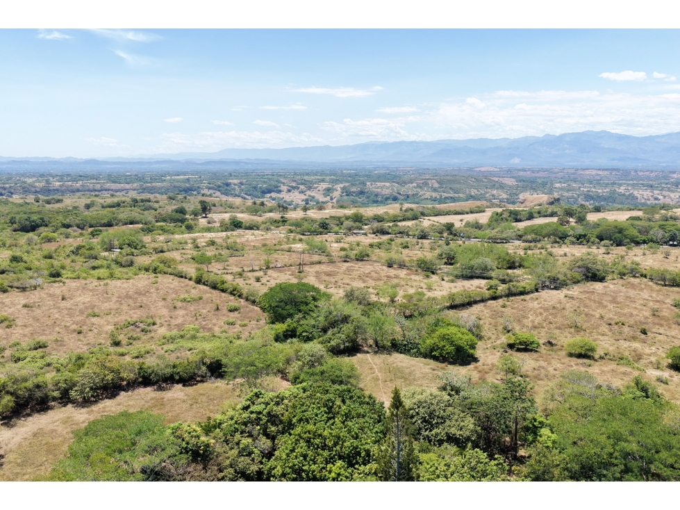 FINCA AGROPECUARIA EN VENTA EN VENADILLO, TOLIMA | 30 HECTÁREAS - 2