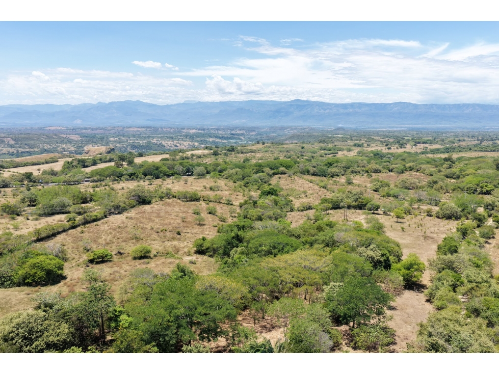 FINCA AGROPECUARIA EN VENTA EN VENADILLO, TOLIMA | 30 HECTÁREAS - 3