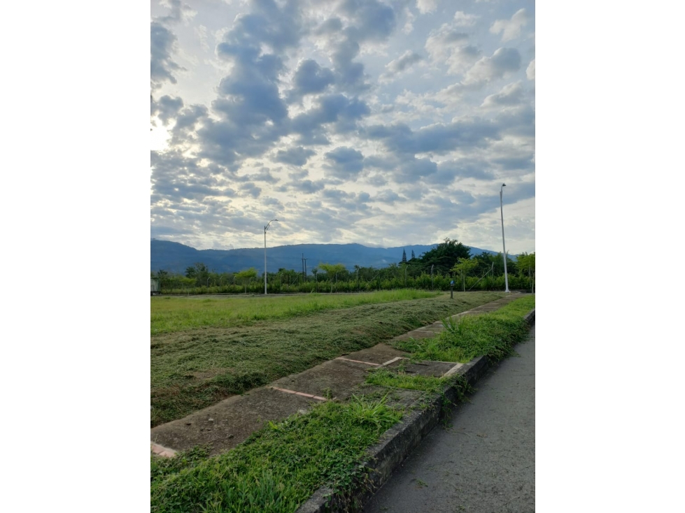 VENTA LOTE UNIDAD CERRADA - ENTRE VITERBO Y PEREIRA - EJE CAFETERO - 2