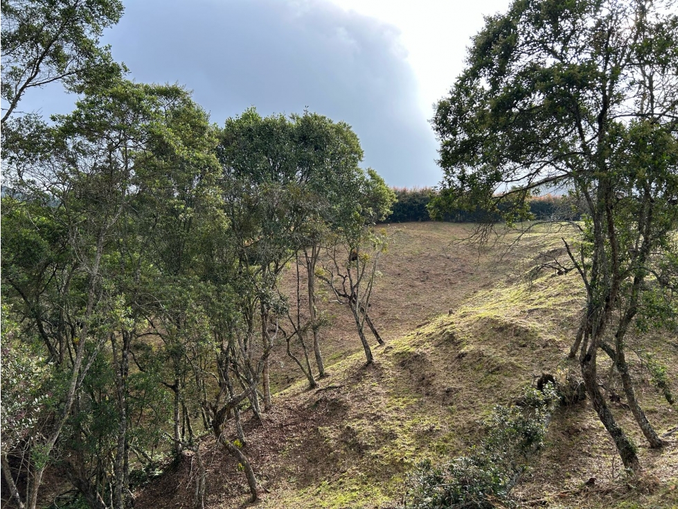 Vendo Lote sector Charcoazul Envigado,11464 mts uso para parcelación — foto 5