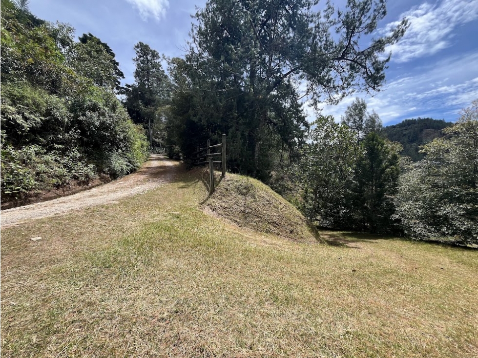 CMCA LOTE PARCELACION JUANITO LAGUNA - FIZEBAD — foto 2