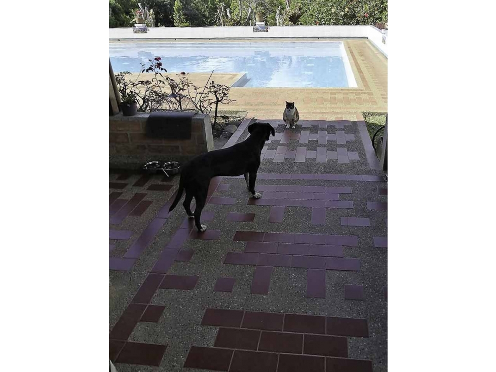 VENTA FINCA RECREO EL NORAL COPACABANA ANTIOQUIA — foto 6