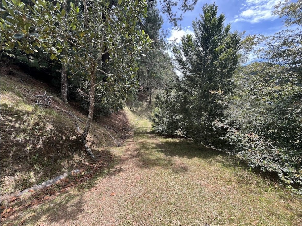 CMCA LOTE PARCELACION JUANITO LAGUNA - FIZEBAD — foto 4