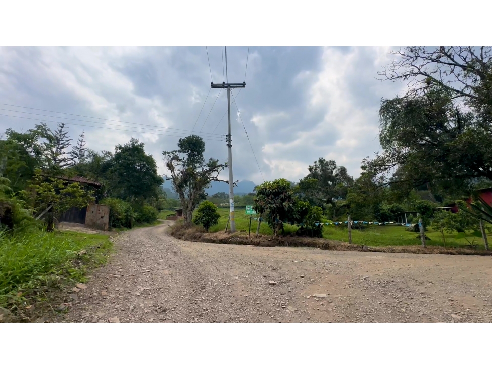 La Vega C/marca - Finca 40 hectáreas en venta — foto 2