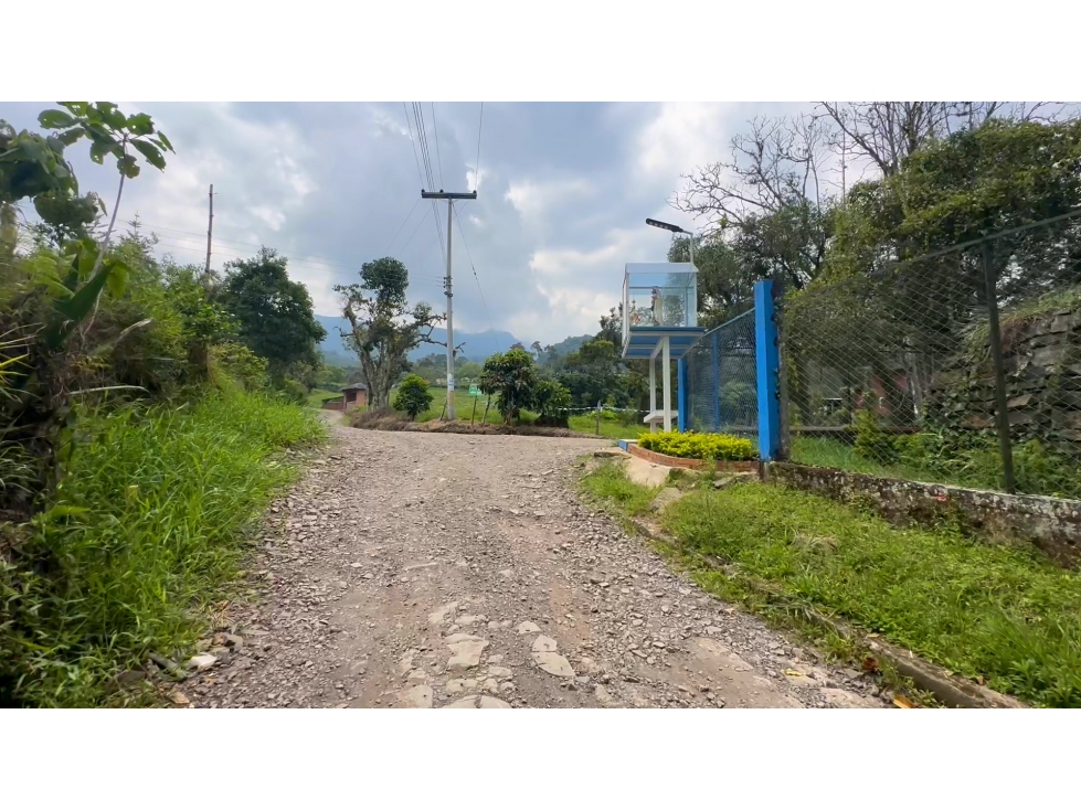 La Vega C/marca - Finca 40 hectáreas en venta — foto 3