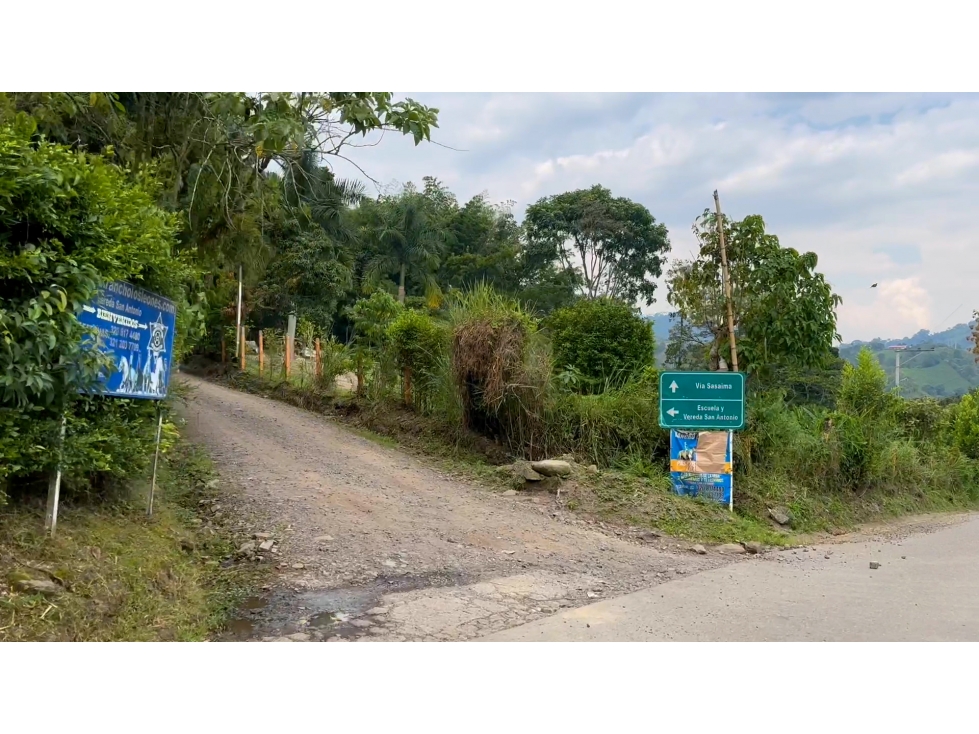 La Vega C/marca - Finca 40 hectáreas en venta — foto 4