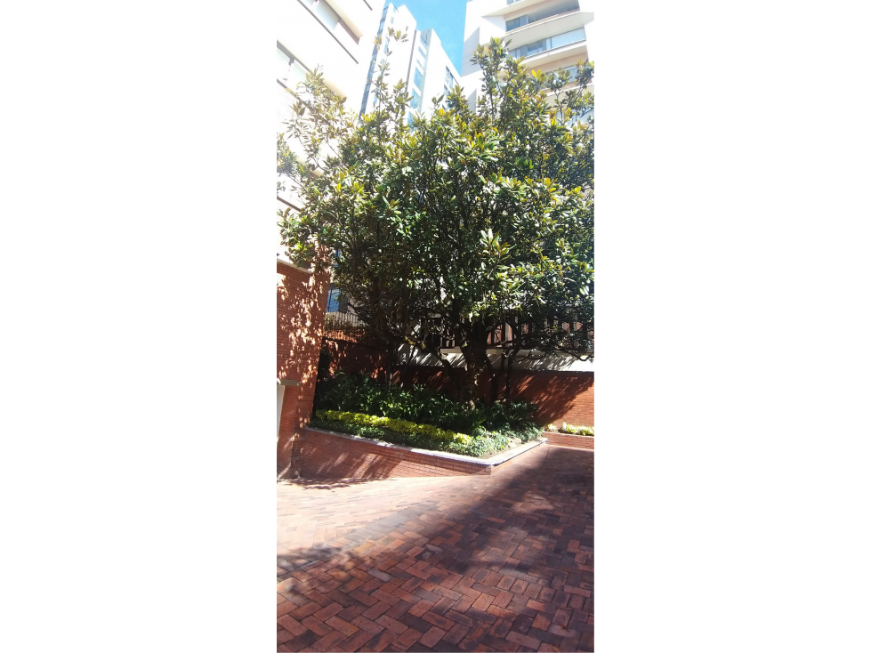 APARTAMENTO EN VENTA REMODELADO CON TERRAZA EN EL NOGAL — foto 3