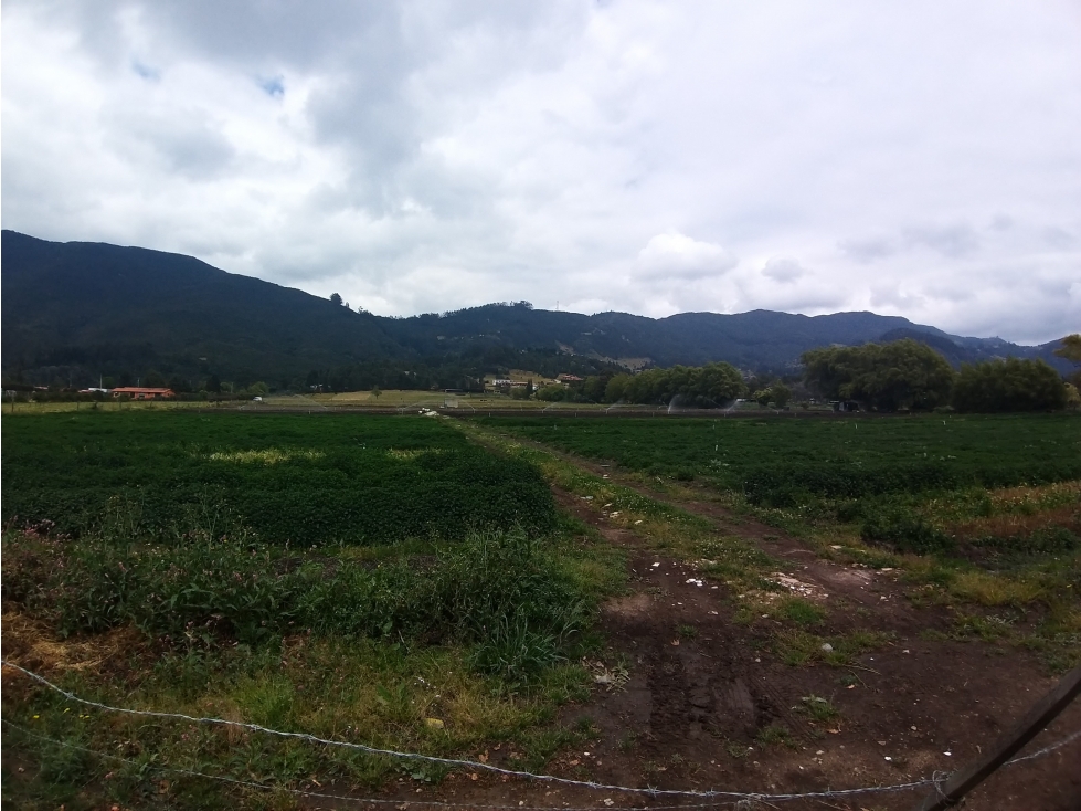 LOTES EN VENTA TABIO CUNDINAMARCA - 4