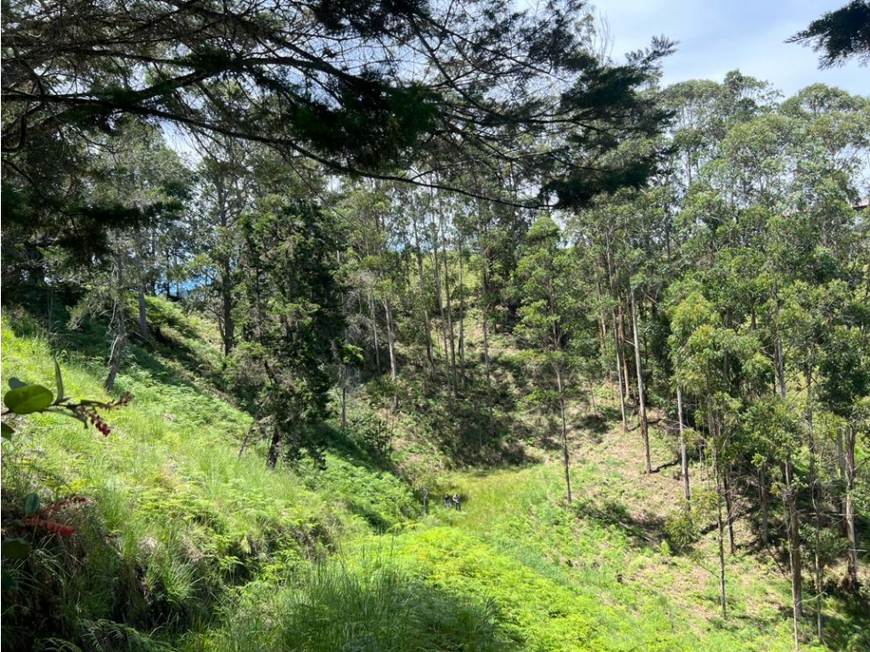 Comercializamos Lote en Guatapé para proyecto turístico. — foto 2