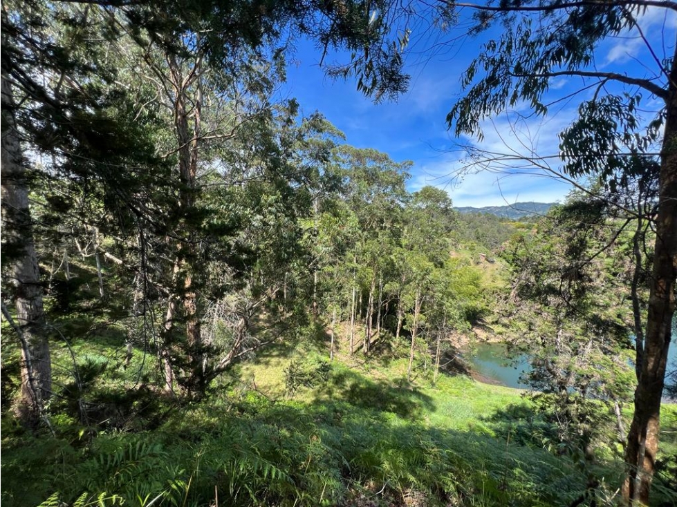 Comercializamos Lote en Guatapé para proyecto turístico. — foto 3