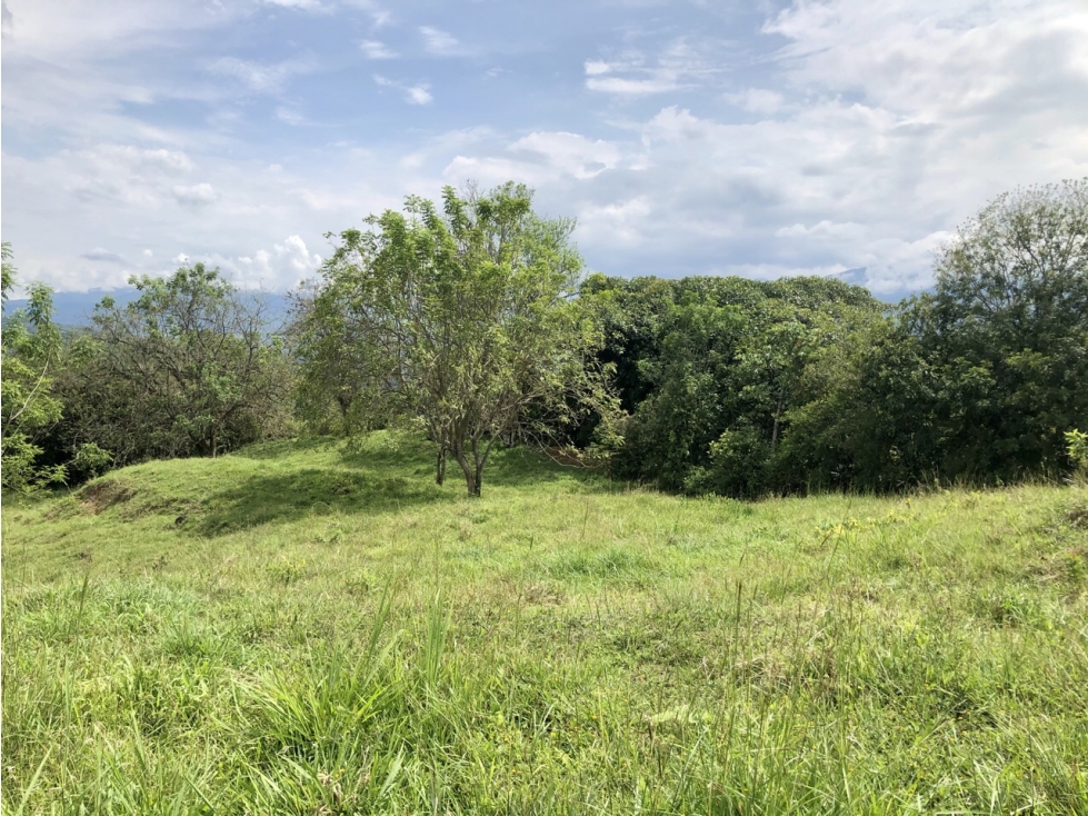 Venta de lote en Tamesis - Suroeste - 4