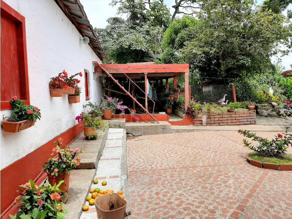 Venta finca Fredonia Zancudo Suroeste antioqueño - 3