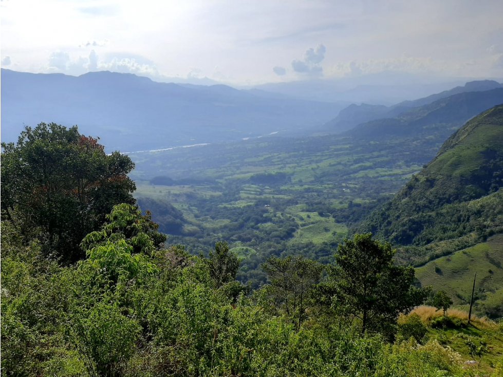Venta Lotes Fredonia suroeste antioqueño - 5