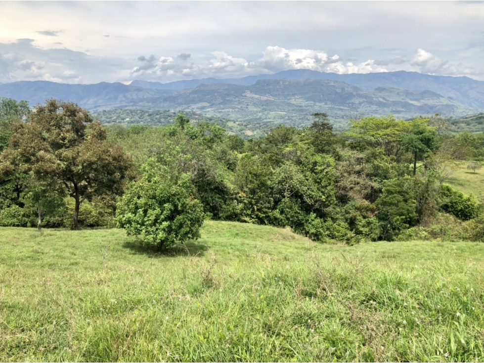 Venta de lote en Tamesis - Suroeste - 5