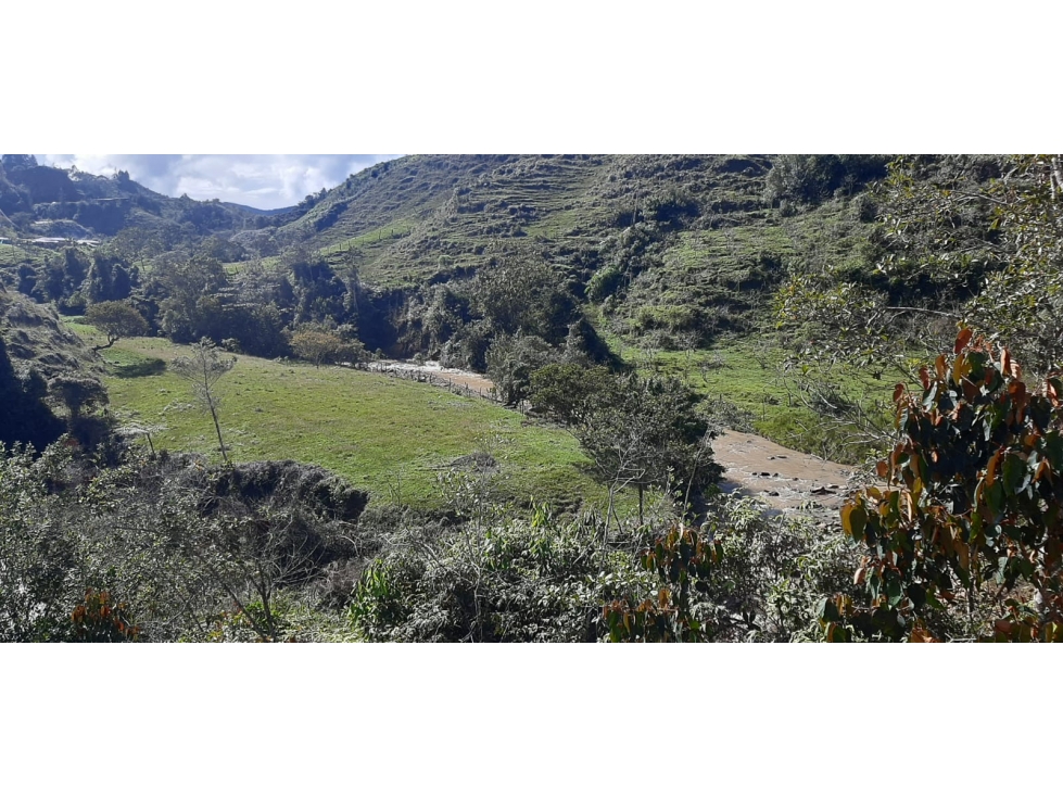 Venta finca en Urrao Suroeste Antioqueno - 2