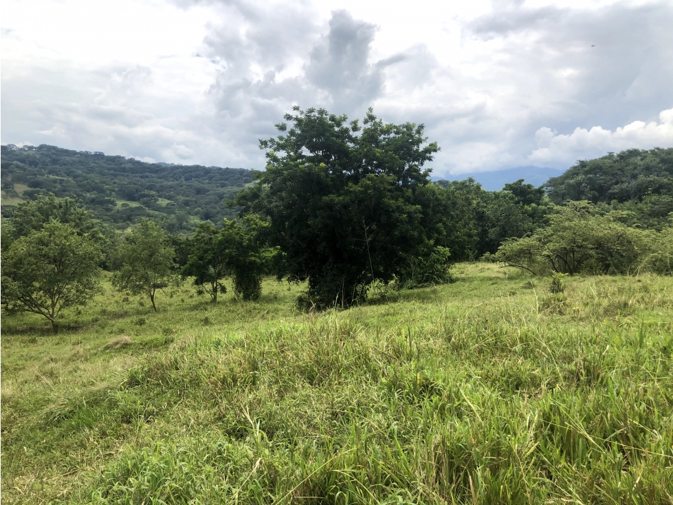 Venta lote Tamesis - Suroeste Antioqueño - 2